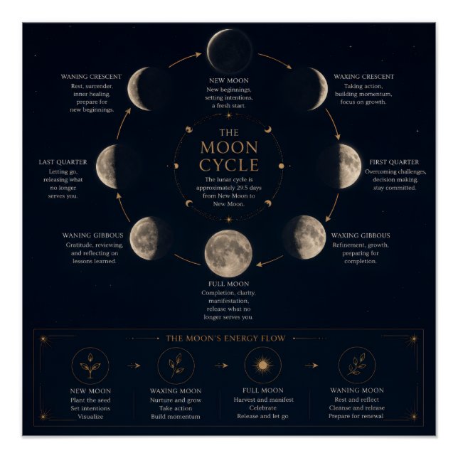 Pôster O Ciclo da Lua & Significado das Fases (Frente)
