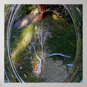 Poster O ciclo de vida....