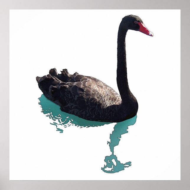Pôster O Cisne Negro (Frente)