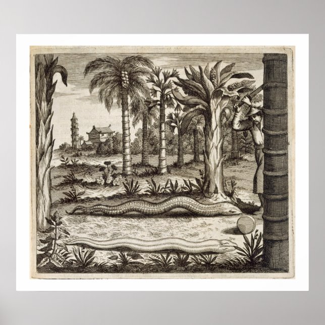 Pôster O Cobra de pedra, de "China Ilustrada" por Athan (Frente)