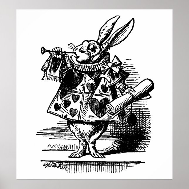 Poster O Coelho Branco (Frente)