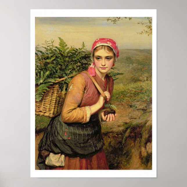 Pôster O Coletor Fern (Frente)