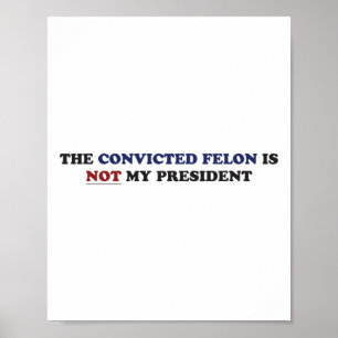 Poster O Condenado Felon Não É Meu Presidente Engraçado P