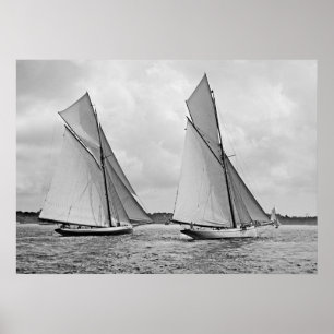 Poster O copo 1886 de América do começo de Mayflower e