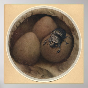 Poster O COPRIS ESPANHOL - ilustração de livro do inset