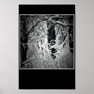 Poster o cortador da rainha da neve