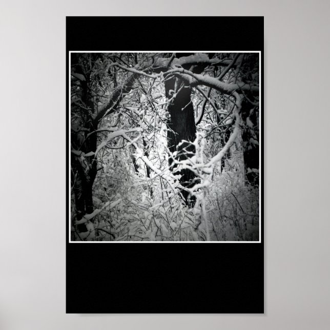 Poster o cortador da rainha da neve (Frente)