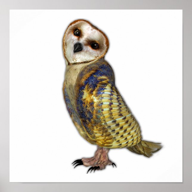 Pôster O Coruja do Barn (Frente)