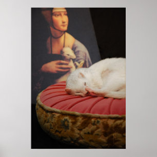 Poster O coussin do sur de Furet aumentou II