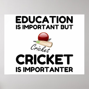 POSTER O CRICKET É IMPORTANTE