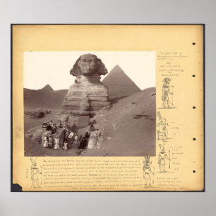 Pôster O crivo da esfinge pela biblioteca pública de