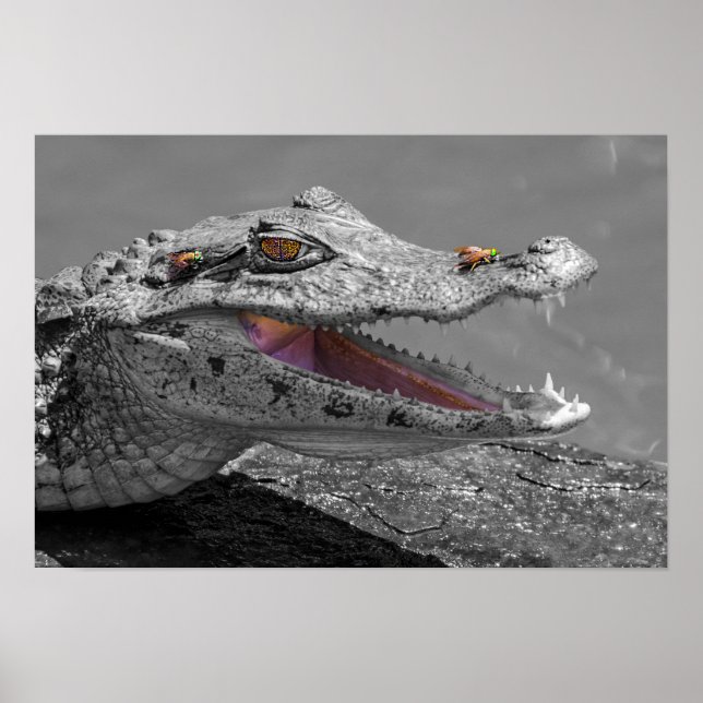 Poster O crocodilo sorridente e as moscas (Frente)