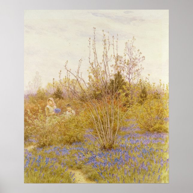 Poster O Cuco (Frente)