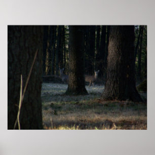 Pôster O Deer Oculto