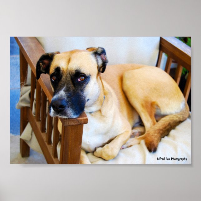 Poster O descanso do vigia (Frente)