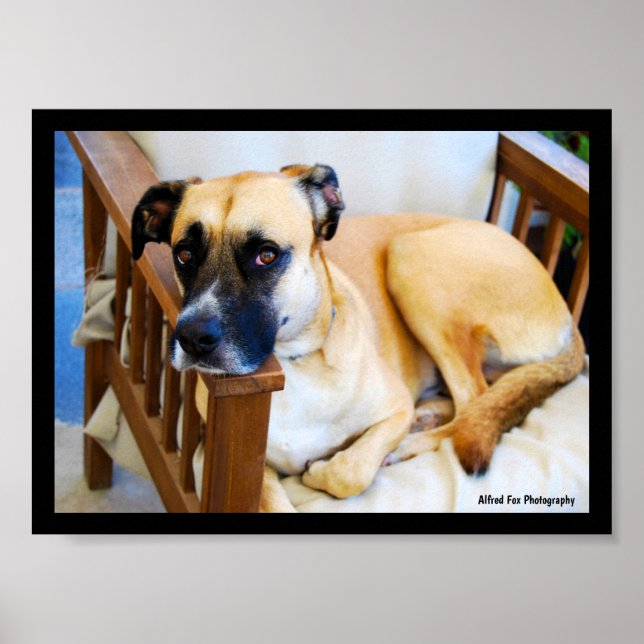 Poster O descanso do vigia (Frente)