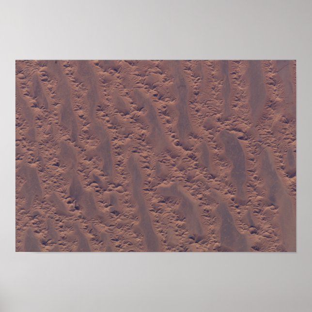 Pôster O deserto argelino (Frente)