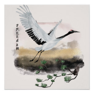 Pôster O Design da Série Okinawa 12