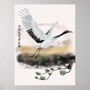 Poster O Design da Série Okinawa 12