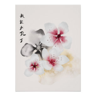 Pôster O Design da Série Okinawa 13