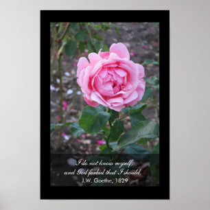 Poster O deus proibe que eu deva se conhecer - citações