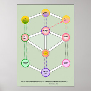 Pôster O dez ser humano