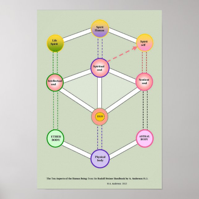 Pôster O dez ser humano (Frente)