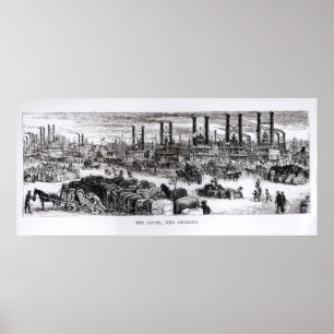 Pôster O dique, Nova Orleães