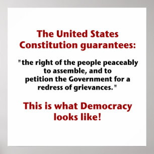 Pôster O Direito de Reagrupamento - O que a Democracia pa