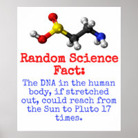 O DNA No Corpo Humano - Fato Científico