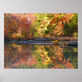 Pôster O dobro da beleza