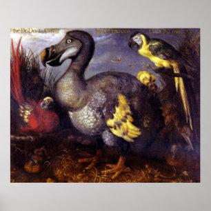 Poster O Dodo e os amigos