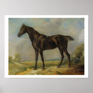 Pôster O Equitação-Cavalo preto do polícia de Golding,
