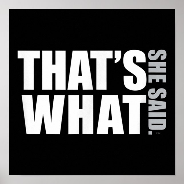 Poster O Escritório Que Ela Disse DunderMifflinzz (Frente)