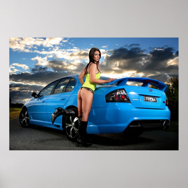 Pôster O Falcão (Frente)