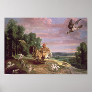 Poster O falcão e a galinha