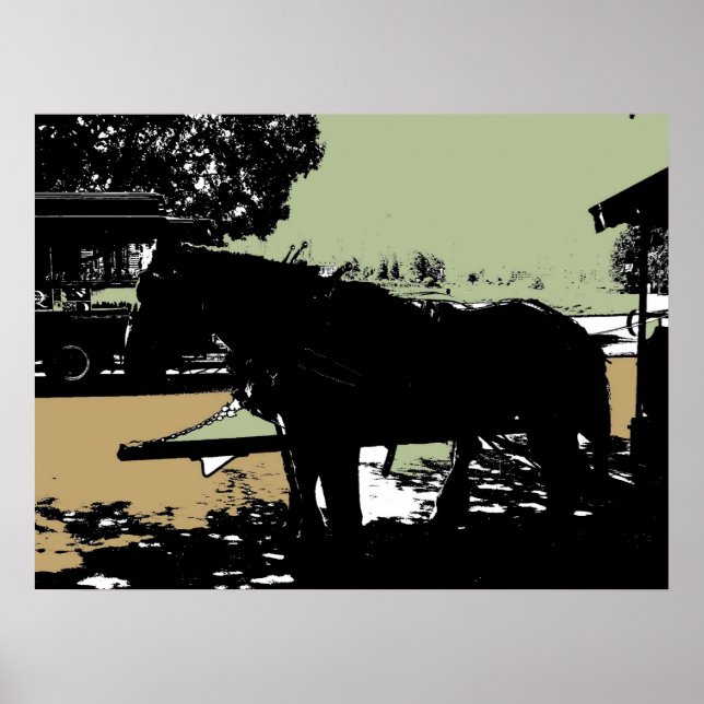 Pôster O famoso Cavalo de Trolley do Stanley Park (Frente)