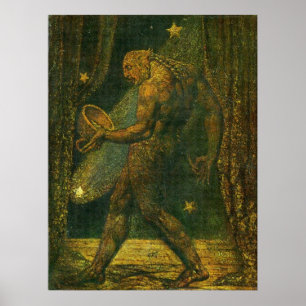 Poster O fantasma de uma pulga
