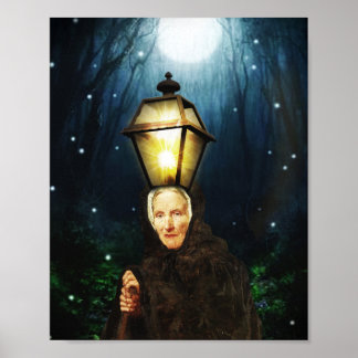 Poster O farol da experiência