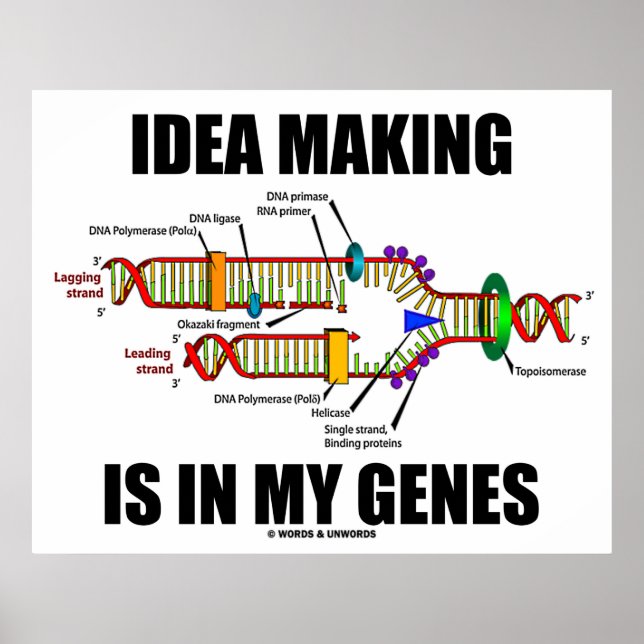 Pôster O Fazer Idea Está em Meus Genes (Replicação De DNA (Frente)