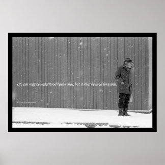 Pôster O fim da vida