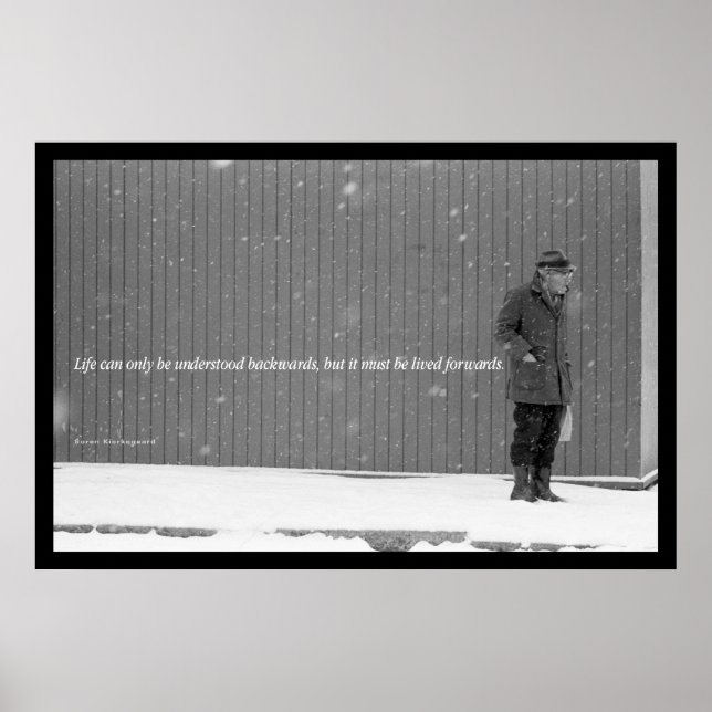 Pôster O fim da vida (Frente)