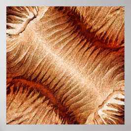 Poster O Frágil Raio