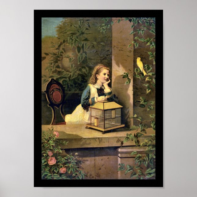 Pôster O Fugitivo Devolvido (Frente)