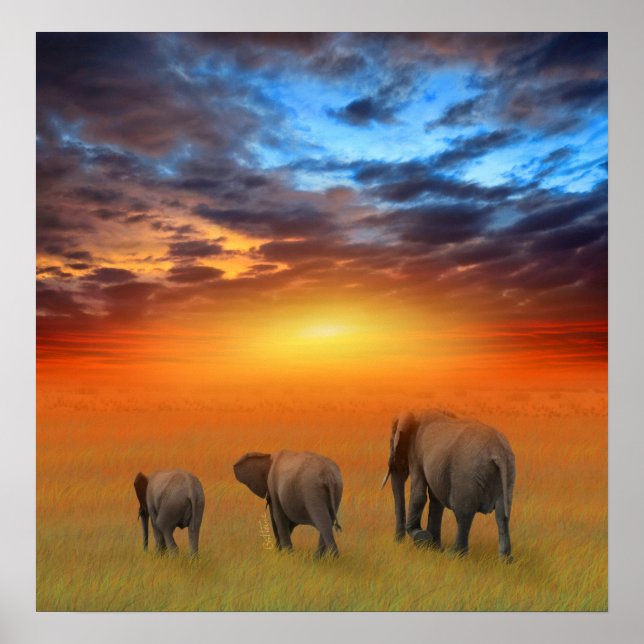 Pôster O futuro é brilhante (Frente)