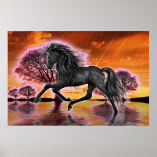 Poster O garanhão preto. imagem da fantasia