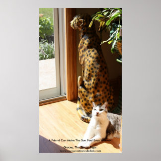 Pôster O Gatinho mais fino e ruim