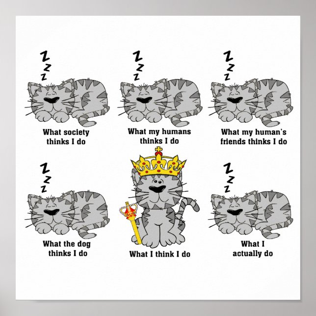 Poster O Gato (Frente)