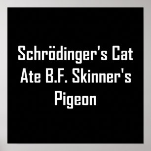 Pôster O gato de Schrodinger comeu Pombo de B.F. Skinner