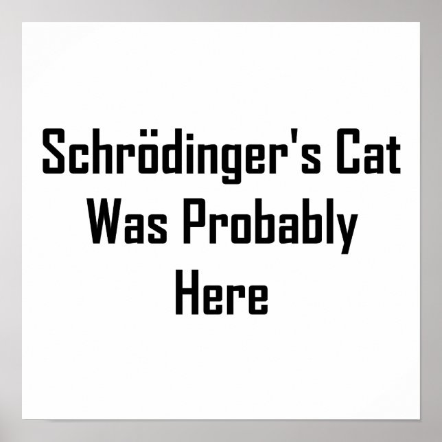 Pôster O Gato de Schrodinger estava provavelmente aqui (Frente)